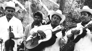 The trio Los Camperos de Valles plays son huasteco. Photo from NPR.