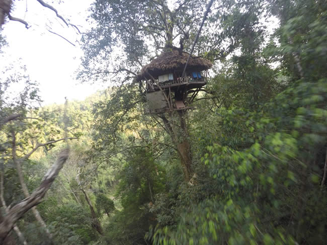 Our treehouse 40 meters above the ground!