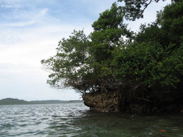 Bocas del toro beaches in Panama