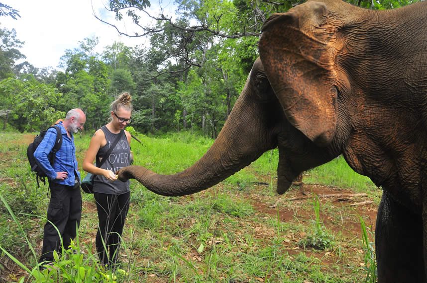 Cambodia - Mondulkiri Elephant Sanctuary