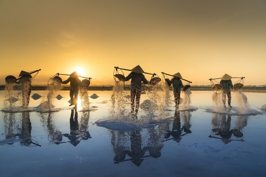 salt-harvesting-3060093_1920 (Vietnam)