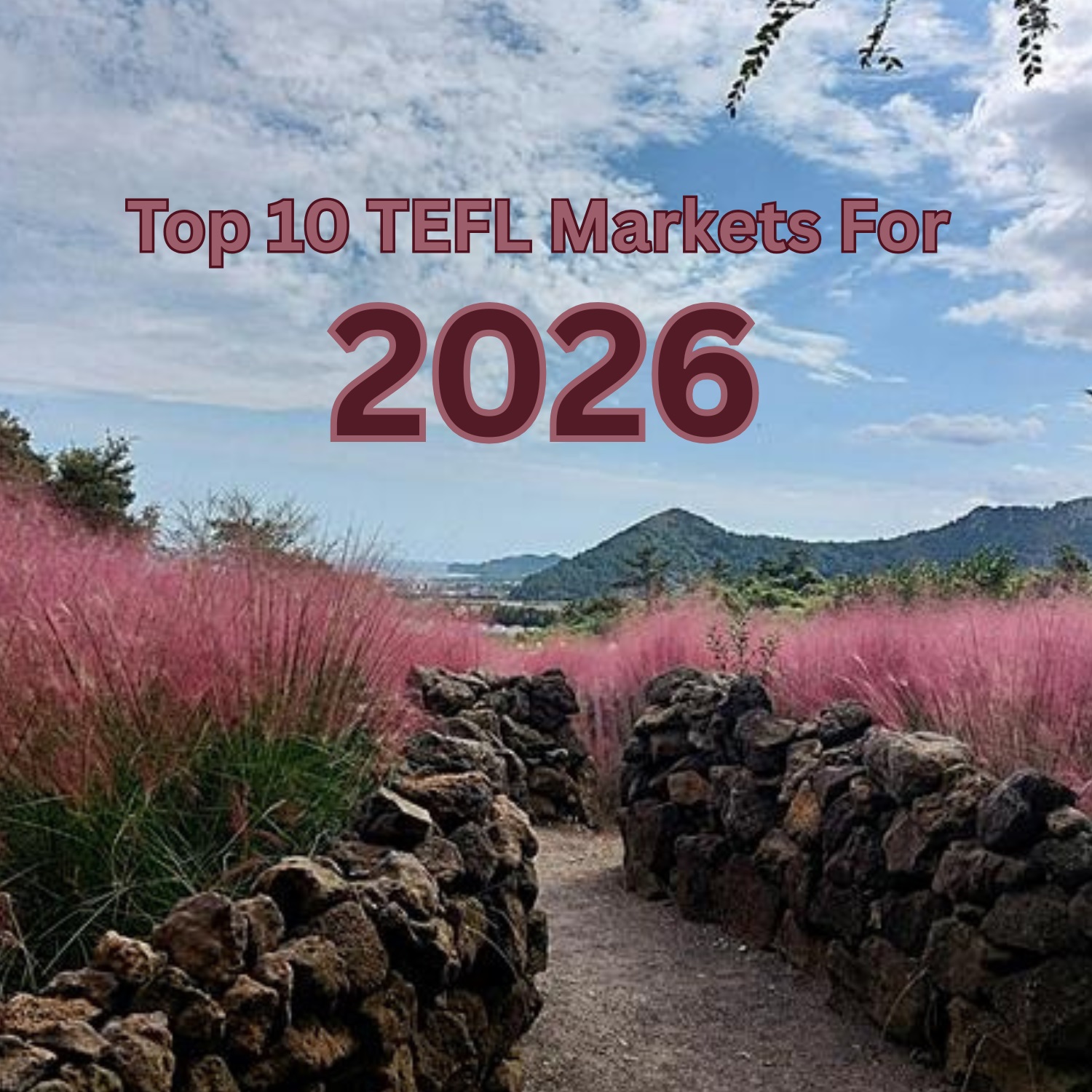 Top 10 TEFL Opportunities for 2026