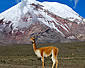 Ecuador