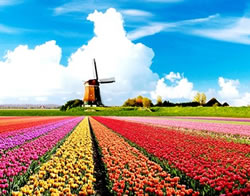 The Netherlands