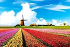 country_thenetherlands_4.jpg